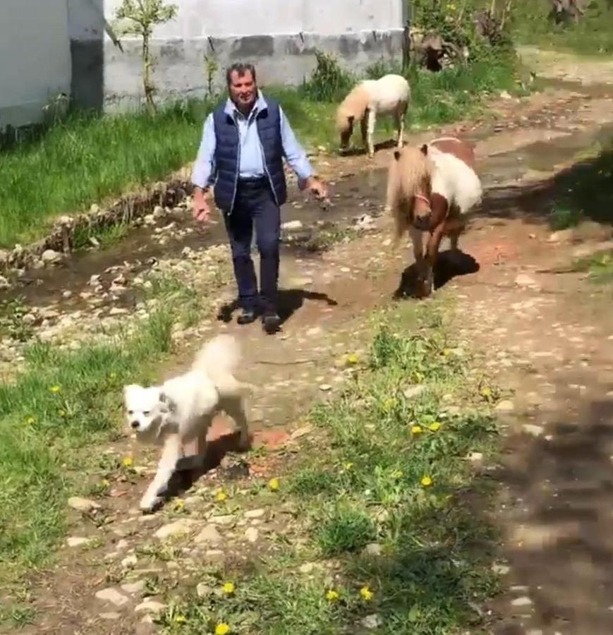 Casuta Cu Flori Otel Vilcele  Dış mekan fotoğraf
